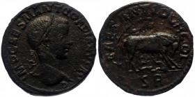 Pisidia, Antioch AER (Bronze, 33mm25.10g) Gordian III (238-244) 
Obv: IMP CAES M ANT GORDIANVS AVG, laurate, draped and cuirased bust right 
Rev: CAES...