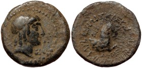 Cilicia, Seleukeia ad Kalykadnum AE (Bronze, 4.10g, 19mm) 1st century BC-1st century AD
Obv: Laureate head of Apollo right; ZY to left, E below chin...
