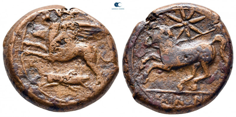 Sicily. Kainon circa 360-340 BC. 
Bronze Æ

22 mm, 8,94 g



very fine