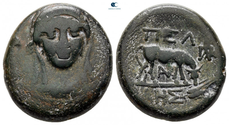 Macedon. Pella circa 187-167 BC. 
Bronze Æ

20 mm, 7,21 g



nearly very ...