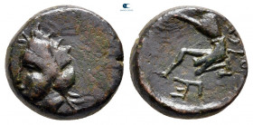 Scythia. Olbia circa 360-300 BC. Bronze Æ