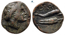 Scythia. Olbia circa 350-300 BC. Bronze Æ