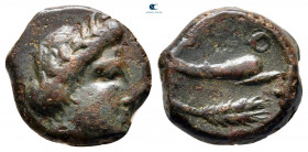 Scythia. Olbia circa 350-300 BC. Bronze Æ