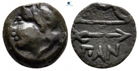 Cimmerian Bosporos. Pantikapaion circa 304-250 BC. Bronze Æ