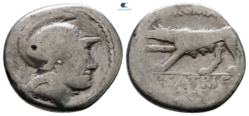 P. Satrienus 77 BC. Rome
Denarius AR

18 mm, 3,29 g



fine