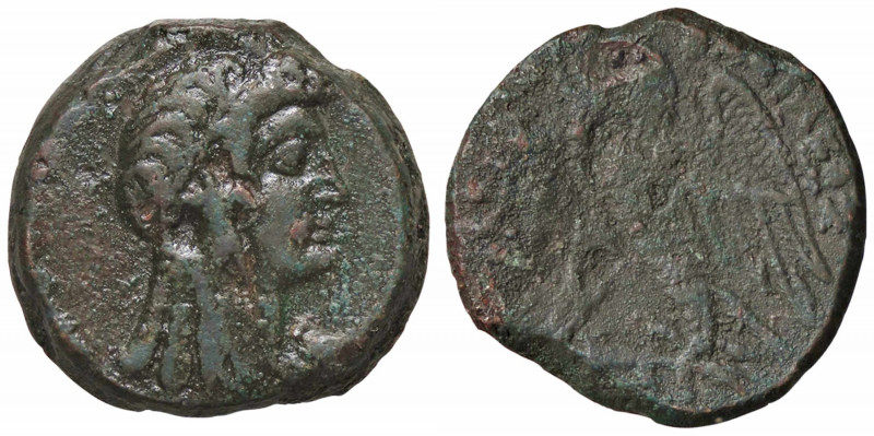WAHRGRECHE - RE TOLEMAICI - Tolomeo V, Epifane (204-180 a.C.) - AE 26 Sear 7880;...