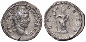 WAHRROMANE IMPERIALI - Geta (209-212) - Denario (AG g. 3,24)
 

bel BB