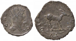WAHRROMANE IMPERIALI - Gallieno (253-268) - Antoniniano C. 344 (MI g. 2,71)
 

qSPL