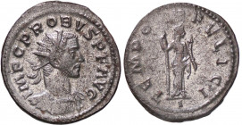 WAHRROMANE IMPERIALI - Probo (276-282) - Antoniniano (MI g. 3,82) Buona argentatura
 Buona argentatura

SPL