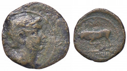 WAHRROMANE PROVINCIALI - Augusto (27 a.C.-14 d.C.) - AE 18 (Treviri) RPC 506 (AE g. 2,34)
 

qBB