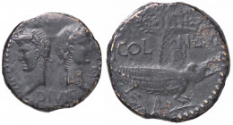 WAHRROMANE PROVINCIALI - Agrippa e Augusto - Dupondio (Nimes) C. 7 (AE g. 12,98)D/ IMP DIVI F
 D/ IMP DIVI F - 

BB