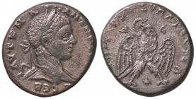 WAHRROMANE PROVINCIALI - Elagabalo (218-222) - Tetradracma (Antiochia) Sear 3096 (AG g. 14,12)
 

BB