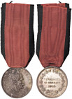 WAHRMEDAGLIE - SAVOIA - Vittorio Emanuele III (1900-1943) - Medaglia 1915 - Terremoto in Marsica Bini 114 R AG Opus: Motti Ø 35
 

qSPL