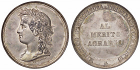 WAHRMEDAGLIE - SAVOIA - Vittorio Emanuele III (1900-1943) - Medaglia Al Merito Agrario AG Opus: Speranza Ø 40
 

SPL+