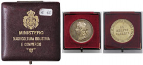 WAHRMEDAGLIE - SAVOIA - Vittorio Emanuele III (1900-1943) - Medaglia Al Merito Agrario AG dorato Opus: Speranza Ø 40 In scatola
 In scatola

qFDC