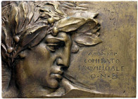 WAHRMEDAGLIE - FASCISTE - Placchetta uniface A. XIII - ONB Comitato provinciale AE mm 104x146
mm 104x146 -

SPL