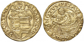 Alessandro VI (1492-1503) Fiorino di camera - Munt. 6 AU (g 3,39) RRR Leggermente ondulato, ma bellissimo esemplare di questa rarissima moneta.
qFDC