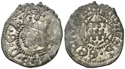 s/d. Carlos I. Girona. 1 diner. (Cal. 57) (Cru.C.G. 3733). 0,66 g. Busto a izquierda. Acuñación floja en parte. Vellón muy rico. Muy escasa así. (EBC-...
