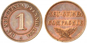 DEUTSCH - NEU - GUINEA. J. N 701, EPA DNG 1 
1 Pfennig 1894 A. vz
