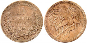 DEUTSCH - NEU - GUINEA. J. N 703, EPA DNG 3 
10 Pfennig 1894 A. kl. Rdf., ss