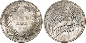 DEUTSCH - NEU - GUINEA. J. N 707, EPA DNG 7 
5 Mark 1894 A. in dieser Erhaltung sehr selten ! winz. Kr., f. St