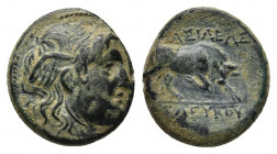 SELEUKID KINGDOM. Seleukos I Nikator (312-281 BC). Ae. Antioch on the Orontes.
Obv: Winged head of Medusa right.
Rev: ΒΑΣΙΛΕΩΣ / ΣΕΛΕΥΚΟΥ.
Bull buttin...