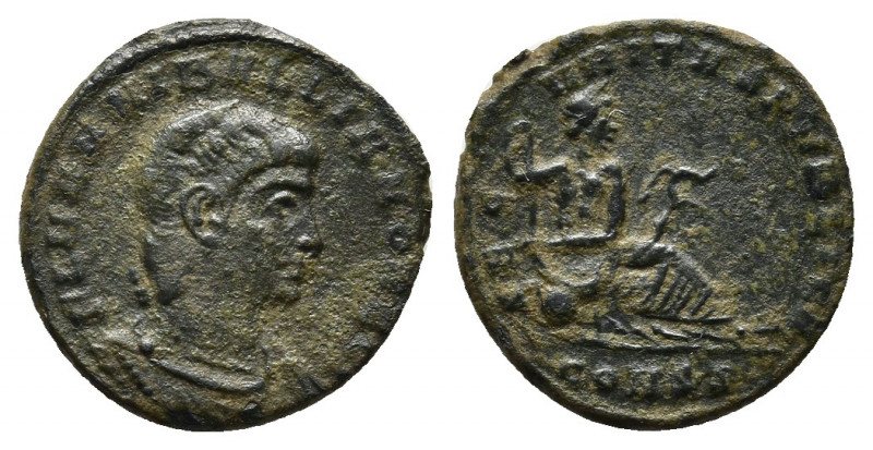 Hanniballianus (nephew of Constantine I), 336-337 AD. AE. Constantinople. 
Obv: ...
