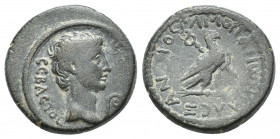 Phrygia, Amorium. Augustus, 27 BC-AD 14. AE.
Obv: CEBACTOC.
Bare head of Augustus, right; before lituus.
Rev: AΛEΞANΔPOC AMOPIANWN.
Eagle standing...