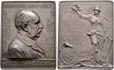 Wien, Stadt. 
Mattierte Silberplakette 1894 von J. Tautenhayn, auf die 66. Versammlung deutscher Naturforscher und Ärzte in Wien - gewidmet dem Mediz...
