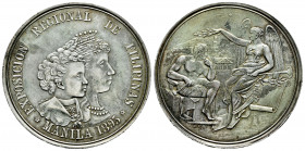 Centenary of the Peseta (1868-1931). Alfonso XIII (1886-1931). Medal. 1895. Manila. (Vives-572). Ag. 38,33 g. EXPOSICIÓN REGIONAL DE FILIPINAS. 41 mm....