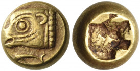 IONIA. Phokaia. Circa 625/0-522 BC. Hekte (Electrum, 9 mm, 2.60 g). Head of a seal to left; below, tunny fish (?) to left. Rev. Irregular incuse punch...