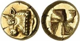 IONIA. Phokaia. Circa 625/0-522 BC. Hekte (Electrum, 10.5 mm, 2.61 g). Head of a bull to left, with a dotted truncation; behind neck, seal swimming up...