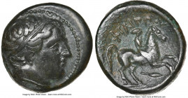 MACEDONIAN KINGDOM. Philip II (359-336 BC). AE unit (18mm, 11h). NGC Choice VF. Uncertain mint in Macedonia. Head of Apollo right, wearing taenia / ΦI...
