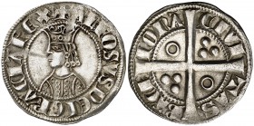 Alfons II (1285-1291). Barcelona. Croat. (Cru.V.S. 331) (Badia 14 var) (Cru.C.G. 2148). 3,11 g. Dos y cinco anillos en el vestido. Atractiva. EBC-/EBC...