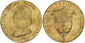 1846. Colombia. Nueva Granada. Popayán. UE. 16 pesos. (Fr. 75) (Kr. 94.2). 26,92 g. AU. Hojita en borde del reverso. Bella. Brillo original. Ex Colecc...