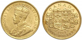 Canada, George V, 5 Dollars 1912, Au 900 g 8,36 SPL+
