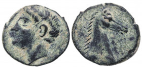 220-215 a.C. Cartago Nova. 1/4 Calco. FAB-554. Ae. 2,05 g.  Cabeza masculina a la izquierda. /Cabeza de caballo a la derecha . MBC-. Est.60.