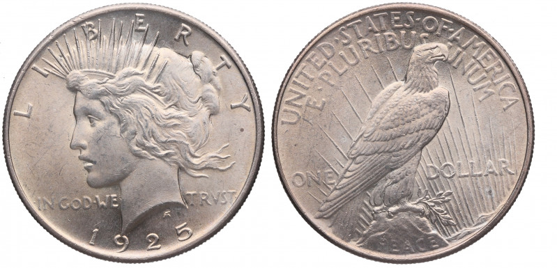 1925. Estados Unidos. 1 Dolar. Ag. 26,81 g. SC-. Est.45.