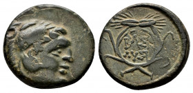 (Bronze, 2.66g 15mm) Thracian Kingdom. Lysimachos. 306-281 B.C. AE 
Head of Hercules right with features resembling Lysimachos wearing lion-skin headd...