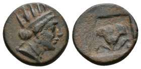 (Bronze, 1.33g 13mm) Caria. Rhodos 188-84 BC. AE 
Radiate head of Helios right 
Rev. rose with bud to left and right; all within incuse square.