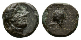 (Bronze, 0.49g 10mm) Cilicia, Soloi.(?) Ca. 100-30 B.C. AE
Head of Athena (?)right, wearing crested Corinthian helmet 
Rev. Grape.