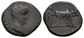 (2.82g 18mm Bronze)Macedon, Philippi Tiberius (14-37) AE
 Bare head right 
Rev. Two priests plowing right.
RPC 1657