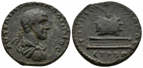 (13.00g 26mm Bronze) Pontos. Neocaesarea Gallienus. AD 262-263. Laureate, draped, and cuirassed bust right 
Rev. Prize urn, containing two palm fronds...