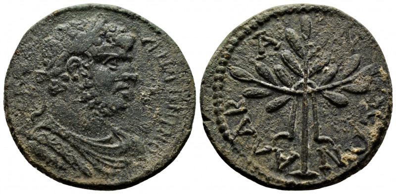 (15.9.53g 27mm Bronze) CARIA. Alabanda. Caracalla (198-217). AE
AY K M ANTΩNINOC...