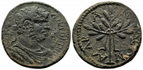 (15.9.53g 27mm Bronze) CARIA. Alabanda. Caracalla (198-217). AE
AY K M ANTΩNINOC. Laureate, draped and cuirassed bust right. 
Rev: ΑΛΑΒΑΝΔΕΩΝ. Fillete...