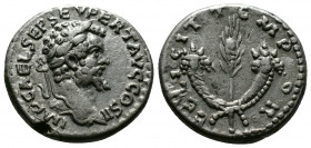 (Silver,3.53g 18mm) Septimius Severus AR Denarius. Emesa, AD 194-195. 
Laureate head right
Rev: Grain ear between crossed cornucopias. 
RIC IV 373; RS...