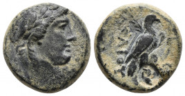 SELEUCIDE, Achaeus (220-214) 7.3gr, 17.7mm