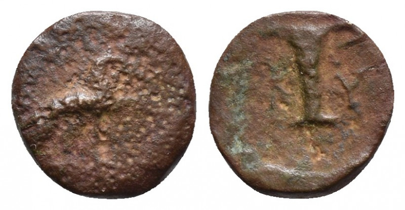 Aeolis. Kyme circa 350-250 BC. Bronze Æ 0.7gr 9.4mm