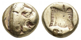 Lesbos, Mytilene EL Hekte. Circa 521-478 BC 2.5gr 10.1mm