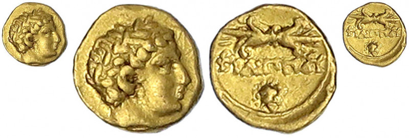 Makedonien
Philipp II. 359-336 v. Chr
1/12 Stater 340/336 v. Chr Pella. Kopf d...